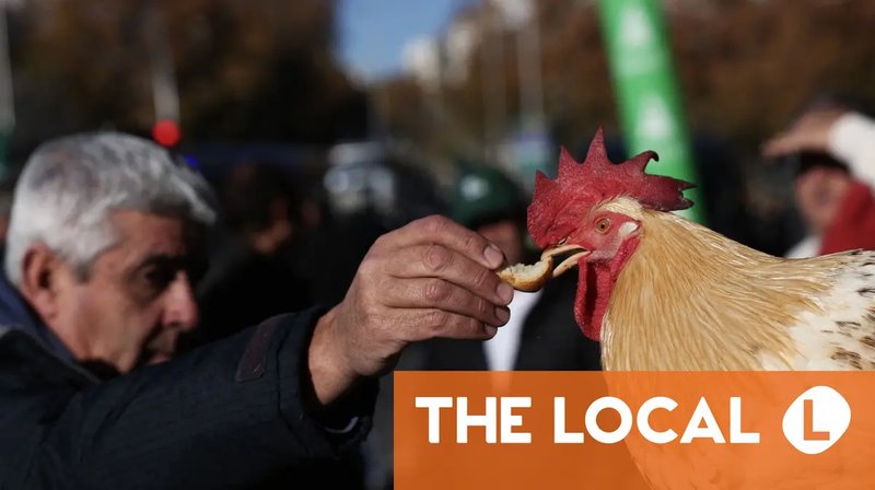 A look at chicken road casino